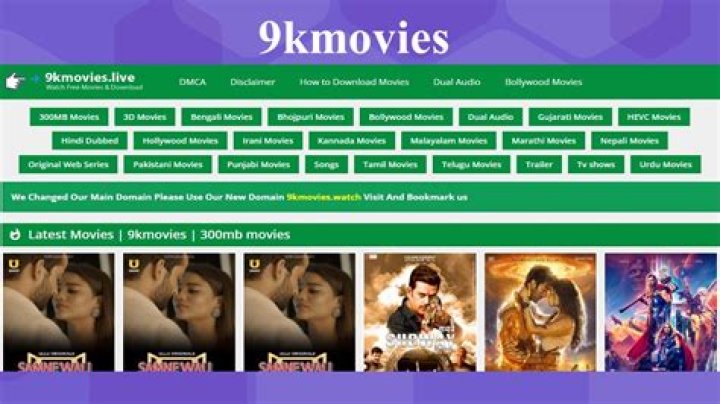 9kmovies.press: The Ultimate Guide to Understanding Its Popularity and Risks