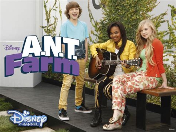 Exploring the Fascinating World of Actors on Ant Farm