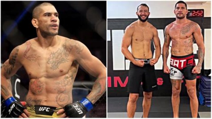 Unveiling the Secrets of Alex Pereira Height