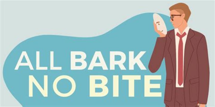 Understanding "All Bark No Bite": A Deep Dive into the Phrase