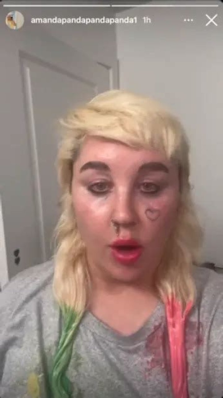 Amanda Bynes Kids: A Comprehensive Look into Her Family Life