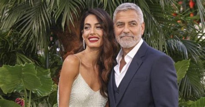 Exploring the Enigmatic Antelia Klounei: A Tale of Passion and Mystery