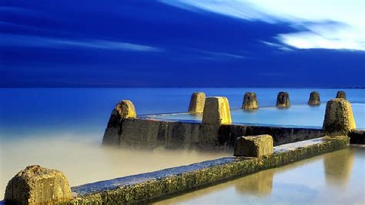 The Amazing Anthony Roach: Expert Insights & Advice