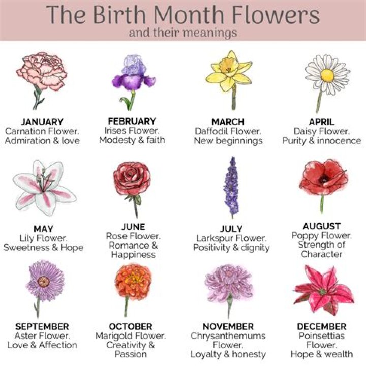 Celebrating Life: The Meaning and Significance of April Birth Flowers