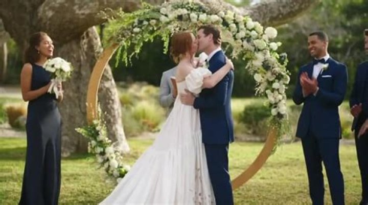 Ari Melber Wedding Pictures: A Closer Look at the Stunning Celebration