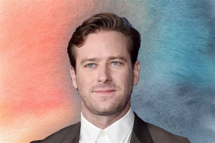 Armie Hammer's Surprising Connection to Arm & Hammer