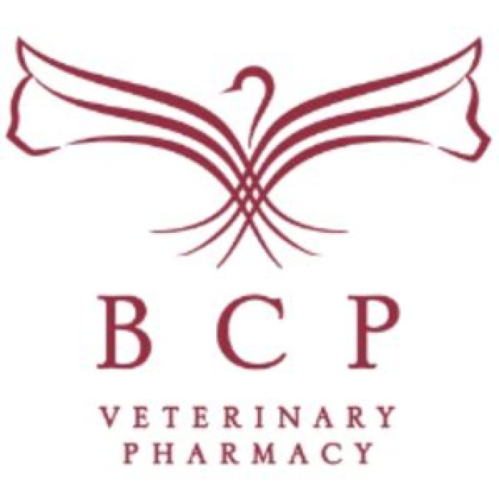 Discovering BCP Pharmacy: A Beacon of Health and Wellness