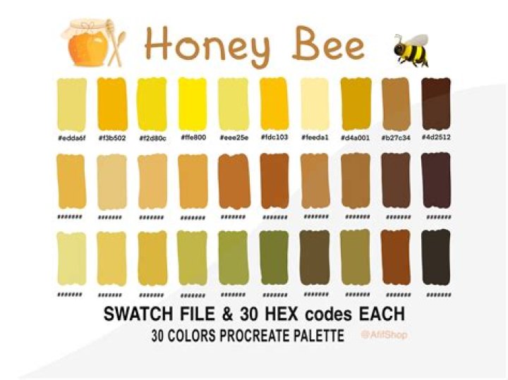 Amazing Bee Colors: A Guide to Bee Color Variations