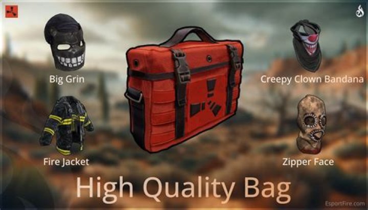 Best Crates: The Ultimate Guide to Choosing the Right Crate for Your Needs