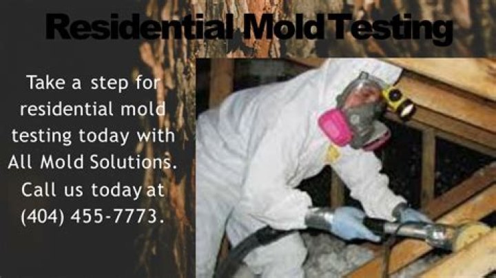 Best Mold Removal Companies Near Me: A Comprehensive Guide