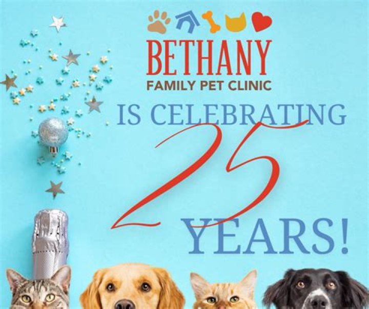 Discovering Compassionate Care at Bethany Family Pet Clinic