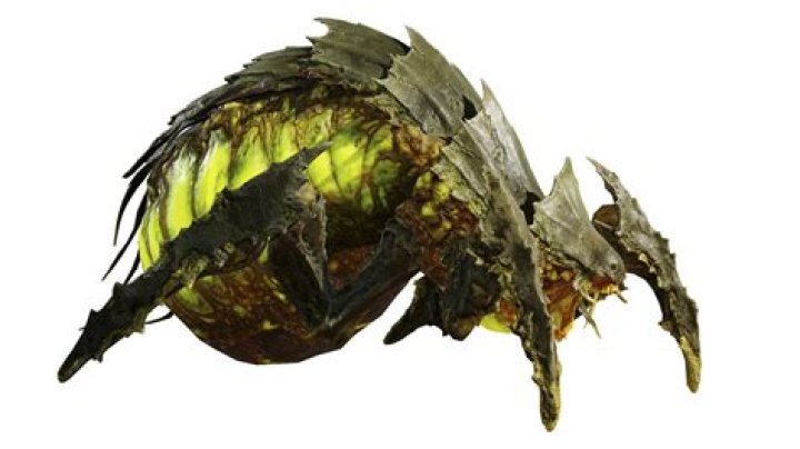 Bile Spewers: Unraveling the Mystique Behind This Unusual Phenomenon