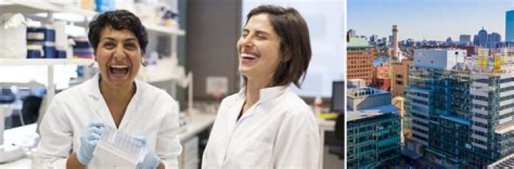 Unlocking Opportunities: Exploring Biolife Careers