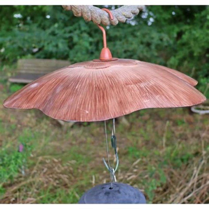 Bird Feeder Baffle: The Ultimate Guide to Protect Your Feeder