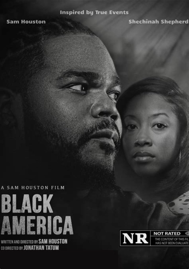 Exploring the Richness of Black America Web