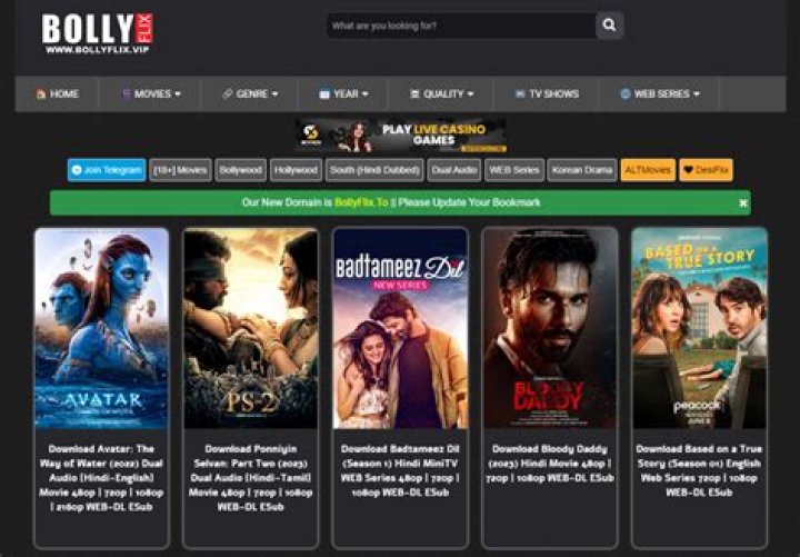 BollyFlix.com: Your Ultimate Destination for Bollywood Movies