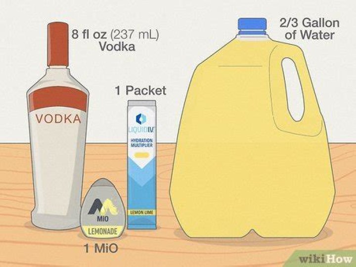 Borg Recipe: A Culinary Adventure into Flavorful Fusion