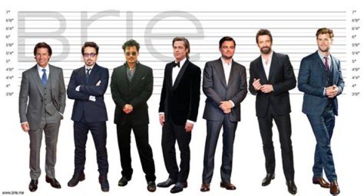 Unveiling the Stature of a Star: Brad Pitt Height in CM