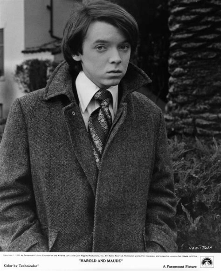 Exploring the Unique Career of Bud Cort