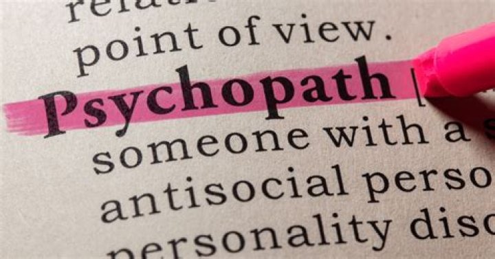 Exploring the Depths of Emotion: Can Psychopaths Love?