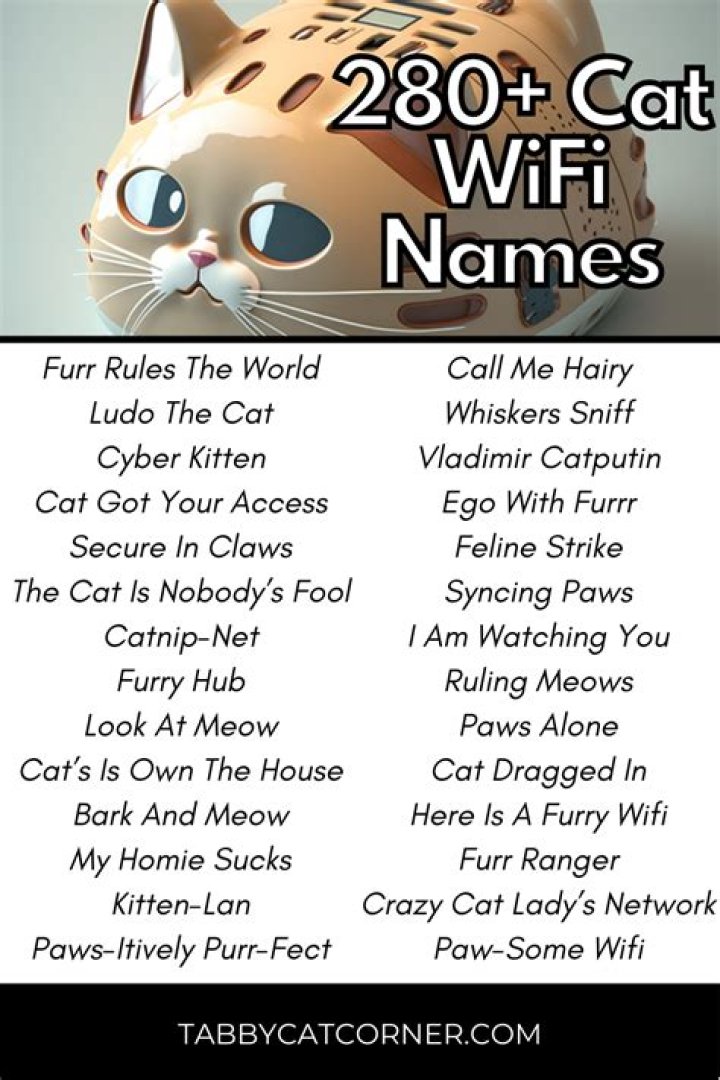 Creative and Fun Cat WiFi Names: A Purr-fect Guide