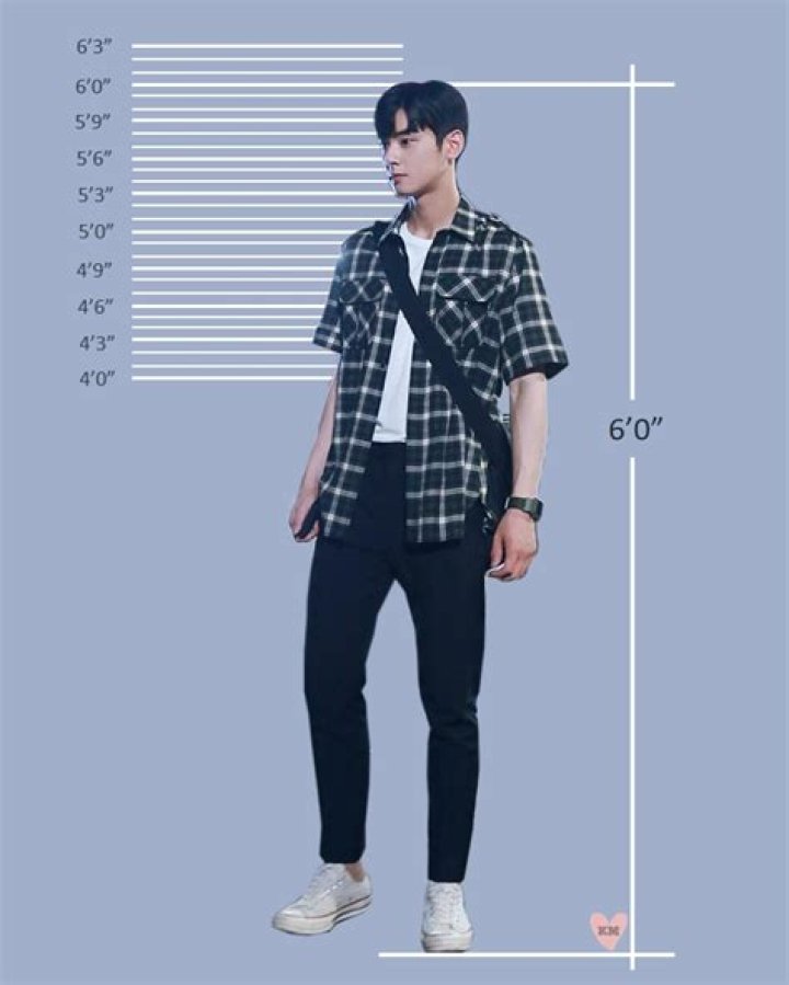 Discovering the Charisma of Cha Eun Woo: The Height of a Star
