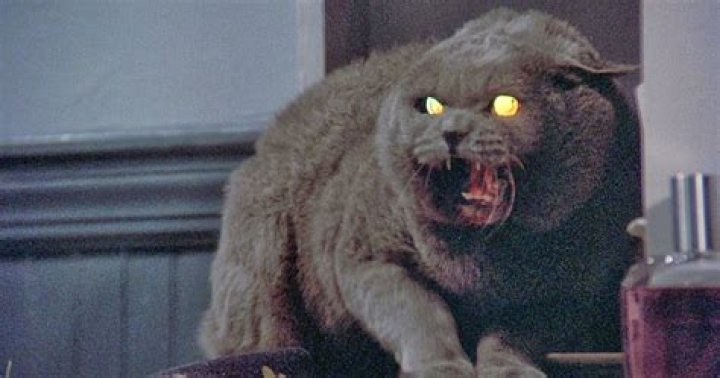 Church Pet Sematary 1989: Unveiling the Mystery Behind the Classic Horror