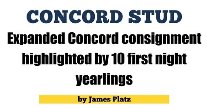 Concord Consignment: Pre-Loved Finds & Deals