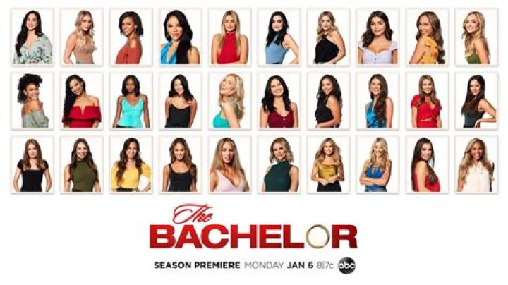 Exploring the Contestants of The Bachelor: A Deep Dive into Their Journey