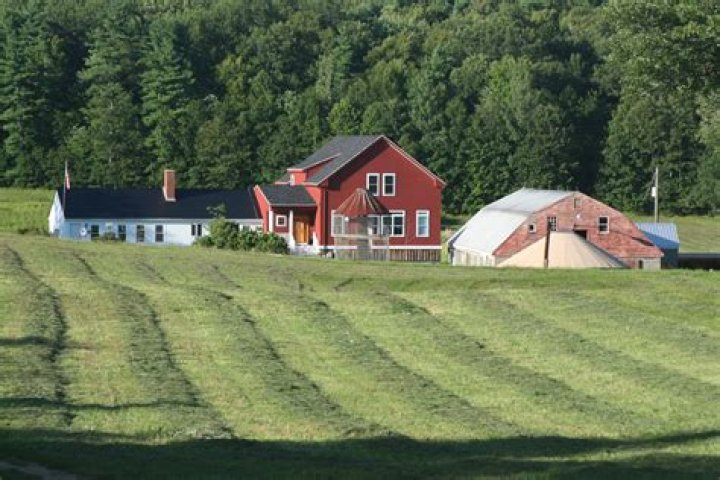 Coppal House Farm: A Journey into Sustainable Agriculture and Community Living