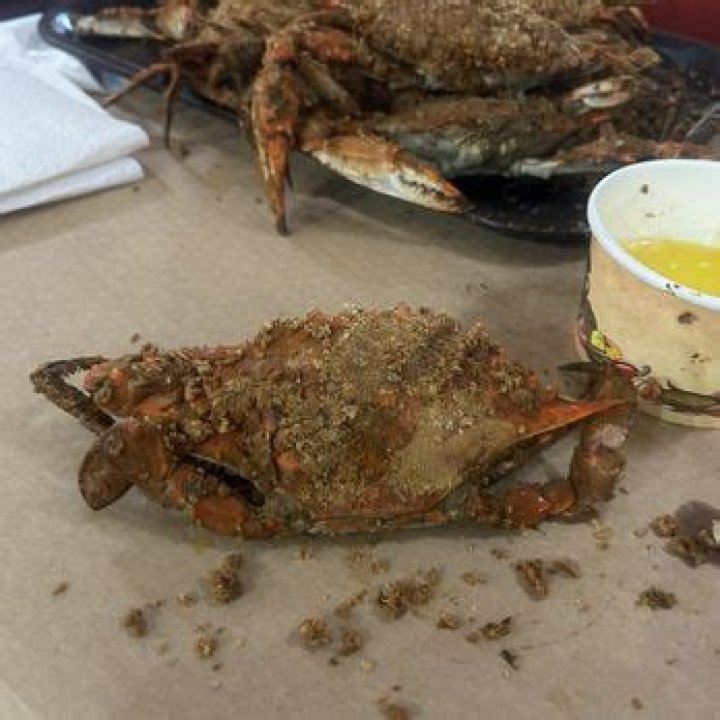 Fresh Crabs in Pikesville!