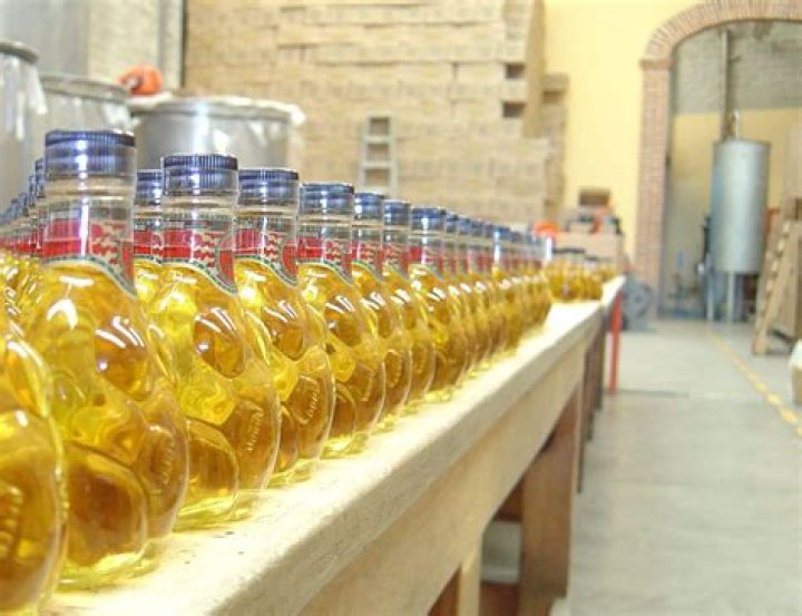 Understanding the Catholic Creed: A Comprehensive Guide