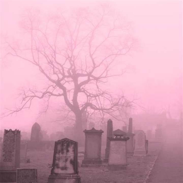 Spooky Pink: Creepy Pink Things You Won't Believe
