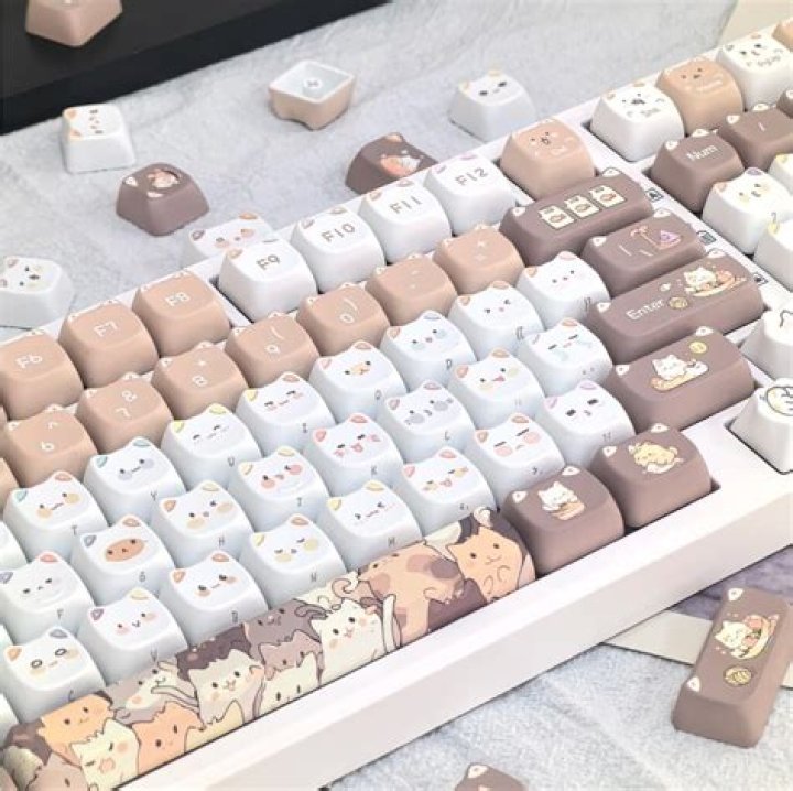 Discovering the World of Cute Keyboards: A Blend of Style and Functionality