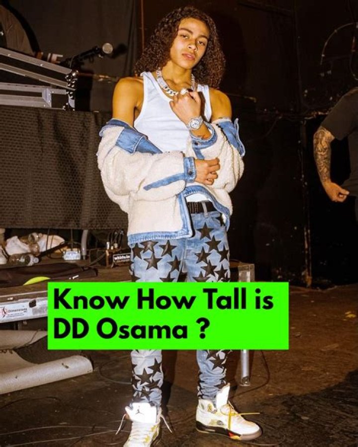 Unveiling the Height of DD Osama: A Closer Look