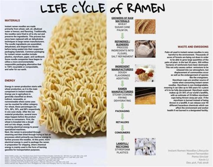 Did Ramen Get Recalled? The Truth Behind Ramen Safety and Quality
