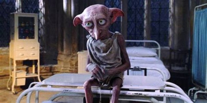 **The Magical World of Dobby: A Deep Dive into Dobby Sit Down**