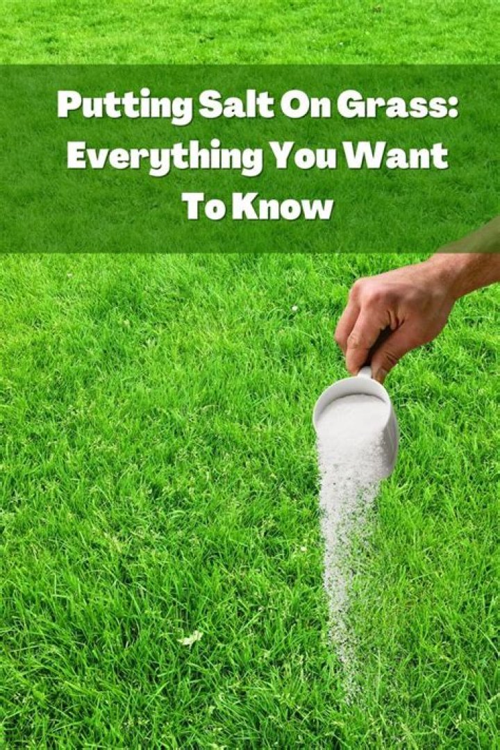 Does Putting Salt Under Your Tongue Help ED? Discover the Truth Behind This Controversial Claim