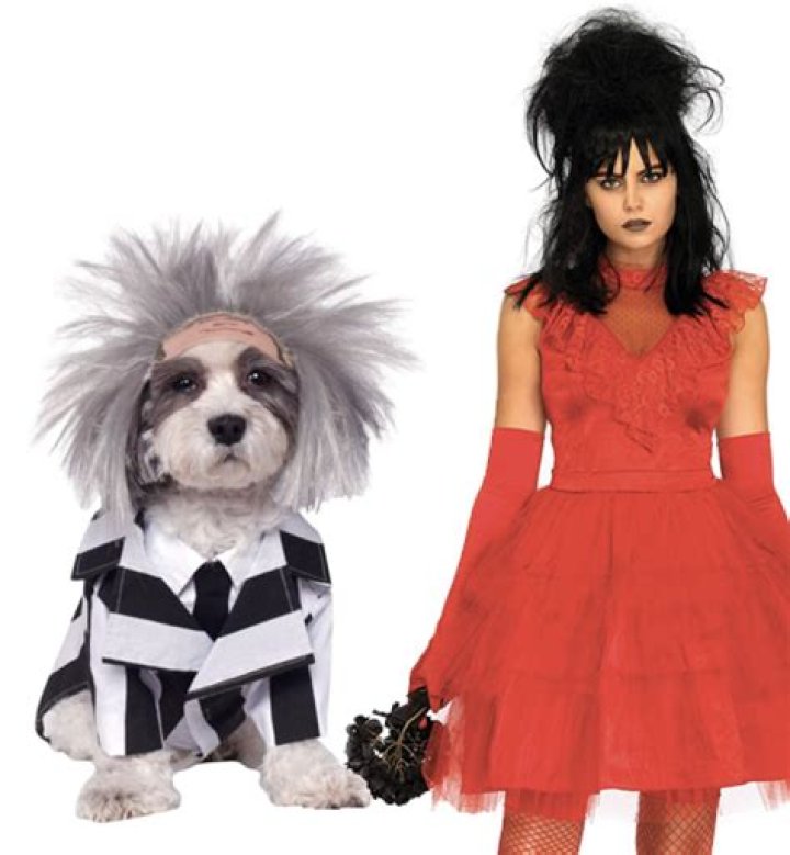 Unleashing Creativity: The Joy of Dog and Human Costumes
