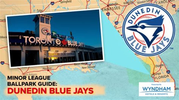 Dunedin Blue Jays: A Glimpse into the Future of Baseball