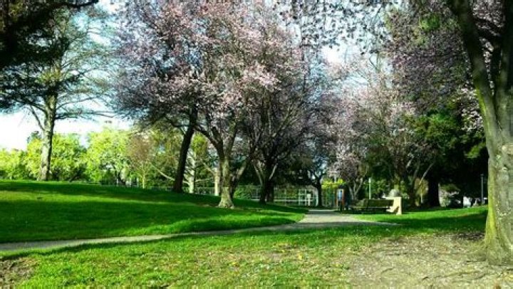 Discovering the Hidden Gems of Encinal Park