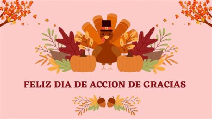 Celebrating the Spirit of Feliz Acción de Gracias