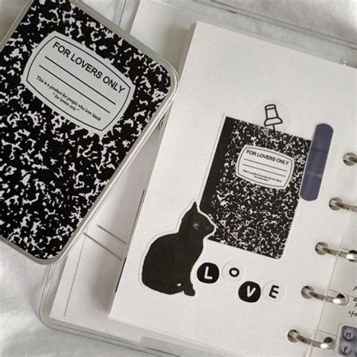 Unveiling the World of Fikdap: A Journey into Innovation