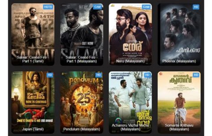 Unveiling filmyworld.net.in: A Comprehensive Guide to the Ultimate Movie Download Hub