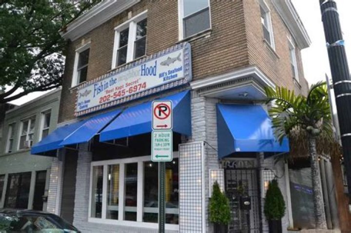 Exploring the Fascinating World of Fish in the Neighborhood