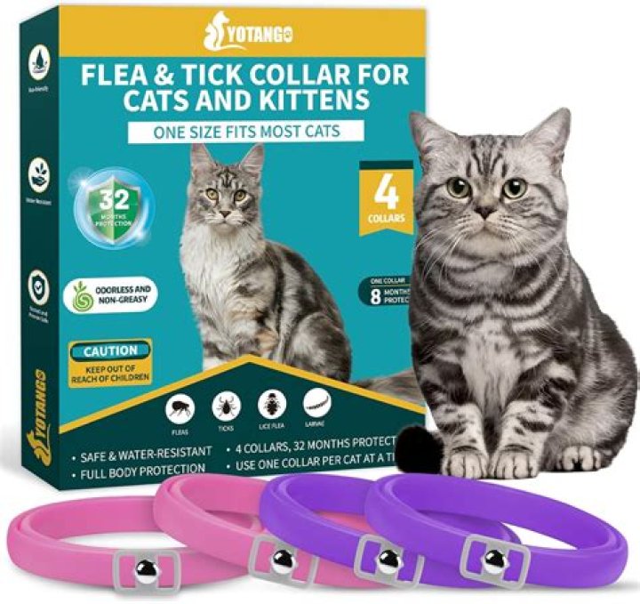 Fleas Net Worth: An Insight into the World of Small Pests