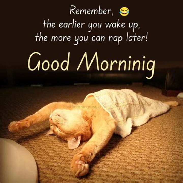 Funny Good Morning Memes: Start Your Day with Laughter