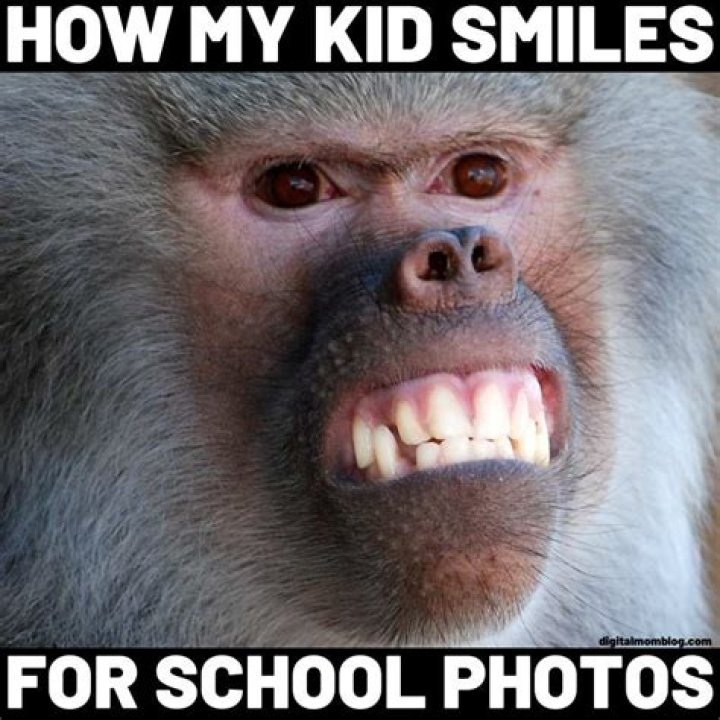 Funny Monkey Meme: The Evolution of Internet Humor