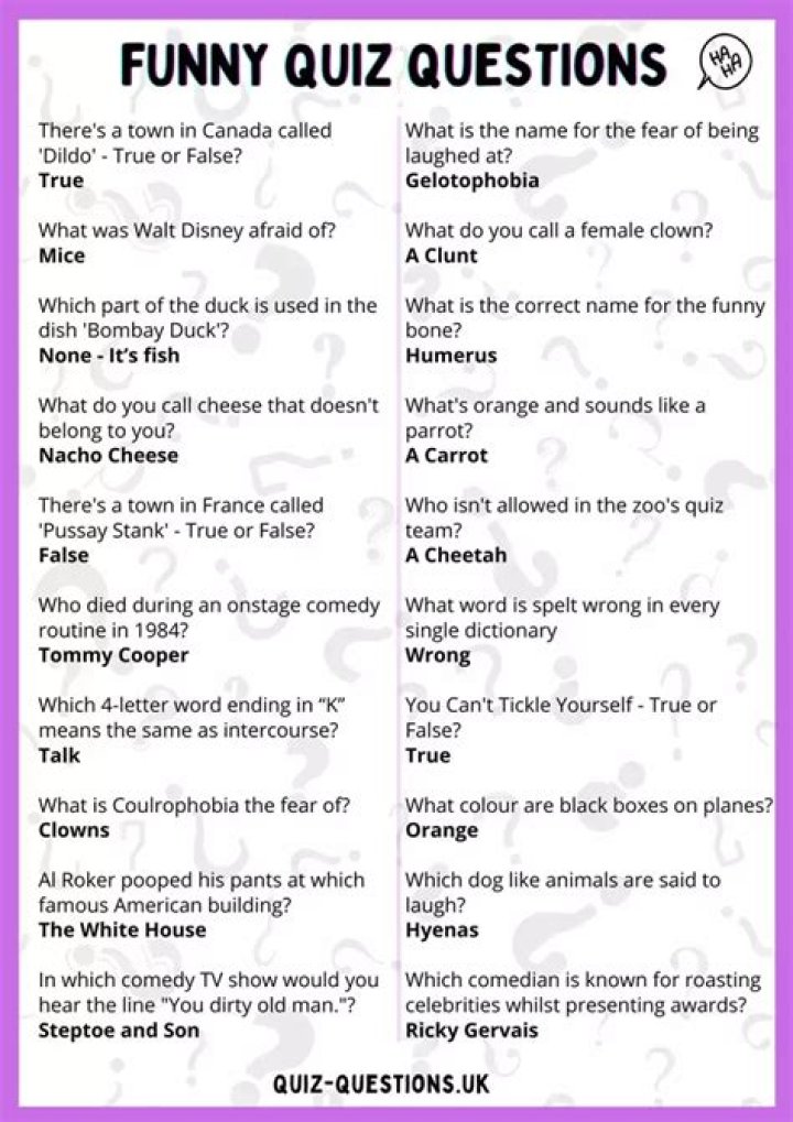 Tickle Your Brain: Hilarious Trivia Questions to Brighten Your Day