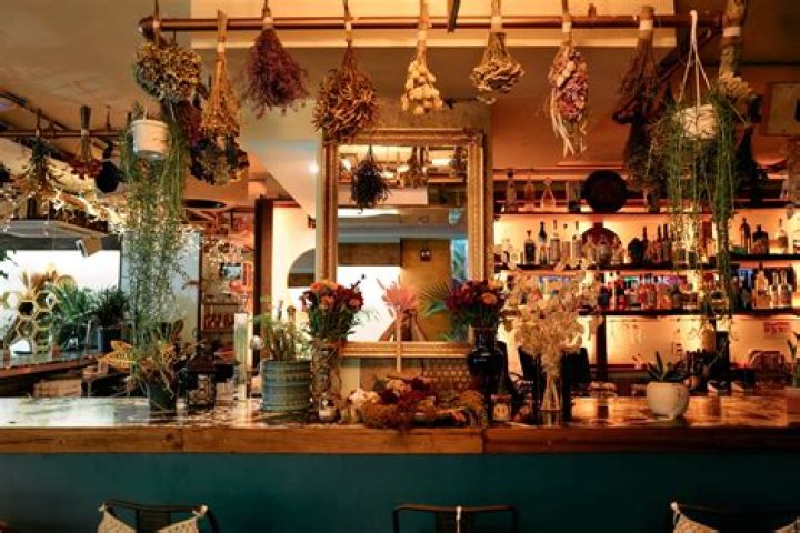 Discovering the Essence of Gaia Nomaya: A Journey Through Nature and Spirituality